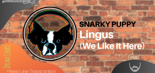 Trascrizione per basso elettrico di Lingus degli Snarky Puppy.